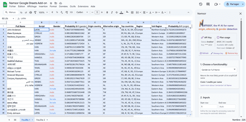 Exemple de l'interface de l'extension Namsor pour Google Sheets.